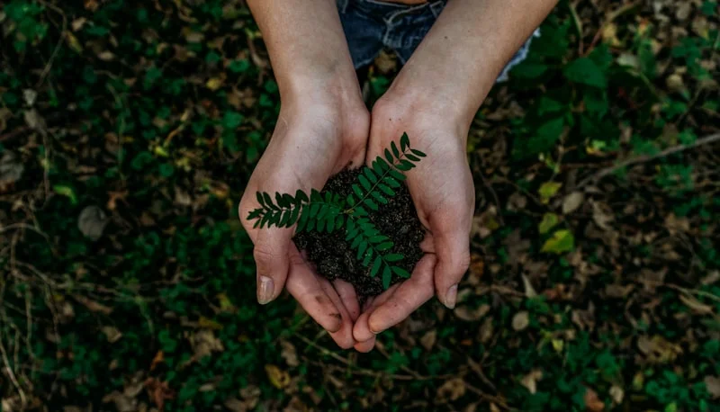 Environment & Sustainability